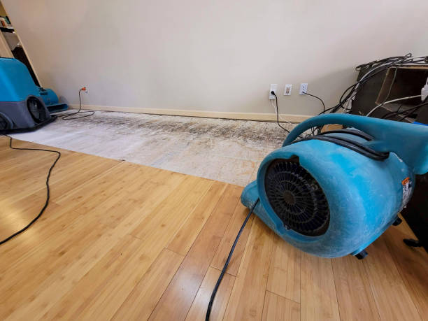 Reliable Basement Flood Cleanup contractor in Waynesville, NC by Hirex Water Damage
