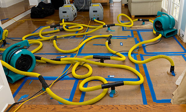 Professional Basement Flood Cleanup technician working in Waynesville, NC